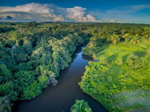Rzeka Amazonka i jej zaskakujące fakty, o których nigdy nie wiedziałeś!