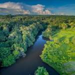 Rzeka Amazonka i jej zaskakujące fakty, o których nigdy nie wiedziałeś!