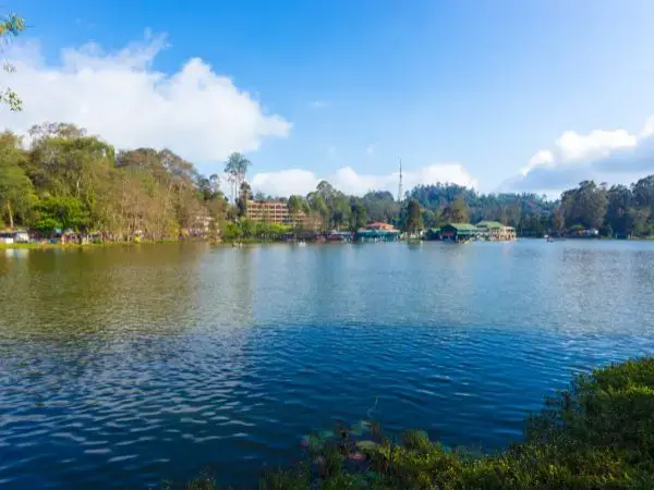 Bezpośredni dostęp do natury: Hotel AMAX przy brzegu jeziora i na skraju lasu